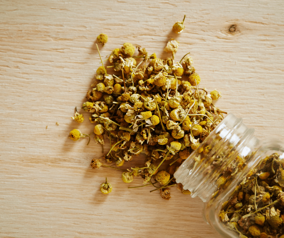 Chamomile Herbal Monograph: Benefits, Uses, and Safety - Small Batch Garden