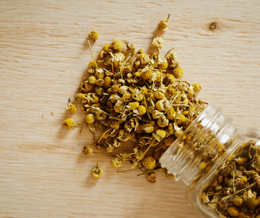 Chamomile Herbal Monograph: Benefits, Uses, and Safety - Small Batch Garden