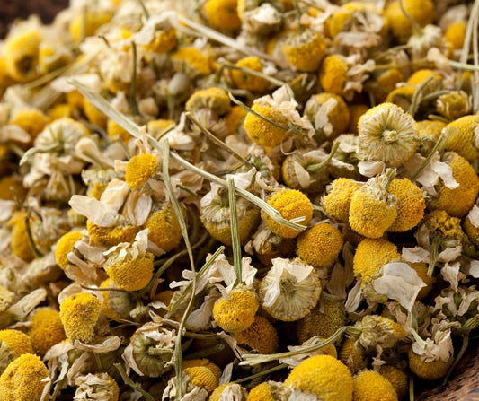 Comforting Chamomile - Small Batch Garden