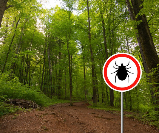 Tick Bite Prevention Week 2024 - Small Batch Garden