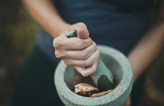 What is Herbalism? - Small Batch Garden