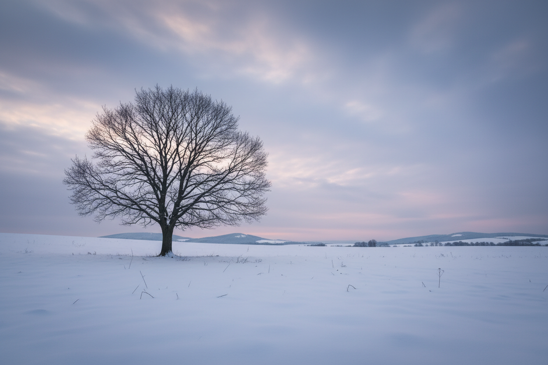 Bare winter tree representing rest and dormancy